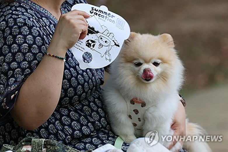 엄마 시원해요(연합=사진제공)