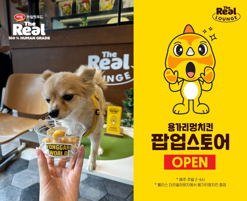 하림펫푸드, 더리얼 용가리 월드 팝업 스토어 오픈