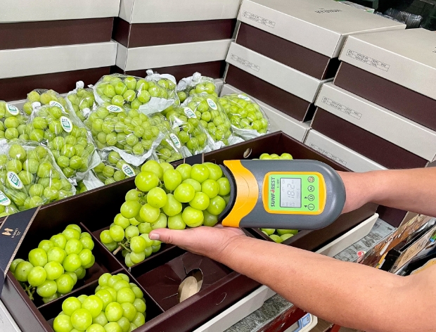 현대백화점 '비파괴 당도 측정 전수조사'를 통해 선별한 H스위트(H-SWEET) 고당도 '사과·배'와 '샤인머스켓' 세트