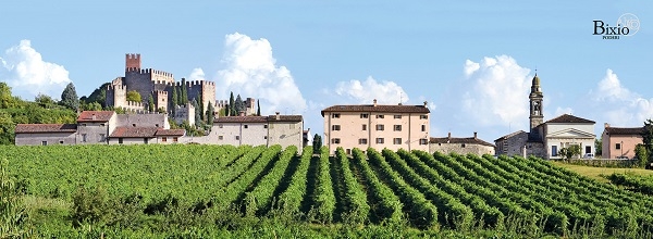 빅시오 와이너리 전경