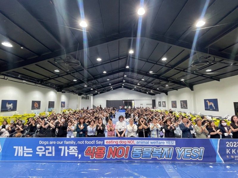한국애견협회 개의 식용반대 성명서 및 캠페인 진행