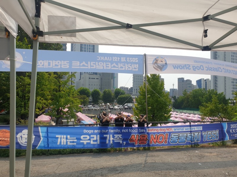 한국애견협회 개의 식용반대 성명서 및 캠페인 진행