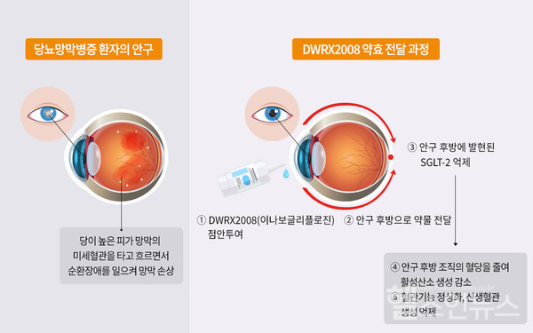 대웅테라퓨틱스제공