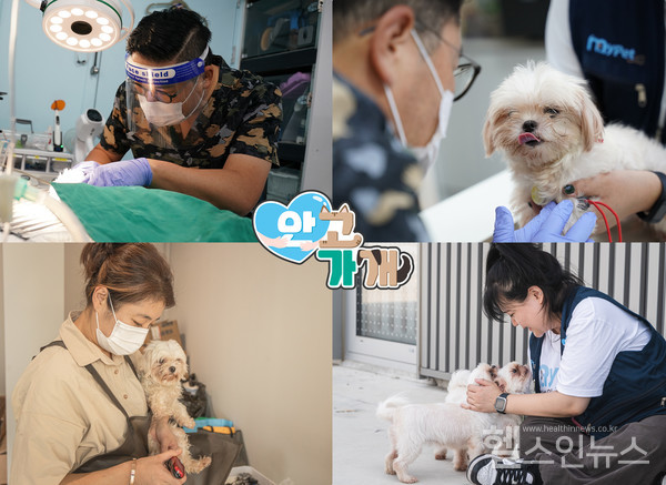 안고가개캠페인에동참한애니케어동물병원윤태현원장(상단),마이펫플러스직원(하단오른쪽),김쌤펫살롱김현서대표(하단왼쪽)