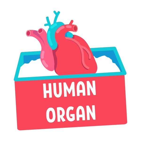 클립아트코리아