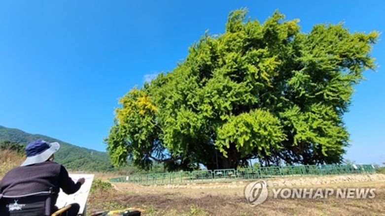 초가을을 화폭에 담다(사진=연합)