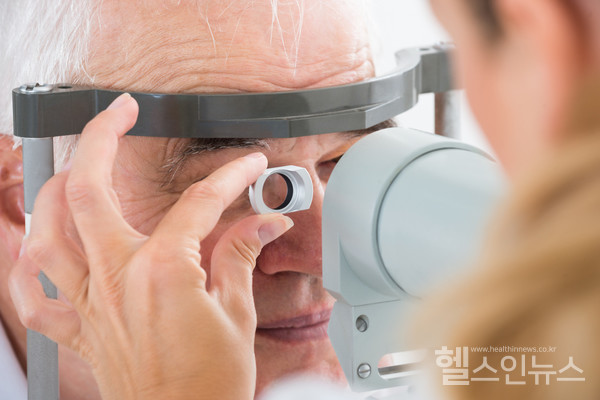 클립아트코리아