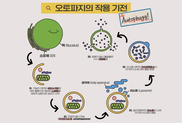 쓰리브룩스테라퓨틱스, 중기부 ‘딥테크 팁스’ 최종 선정