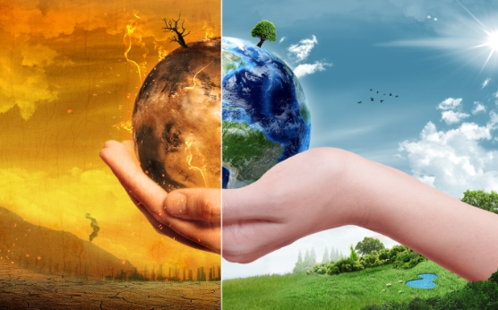 (상보) 해외 기후변화 물리적리스크, 국내 산업의 생산 위축·부가가치 감소 등 부정적 영향 미칠 것 - 한은