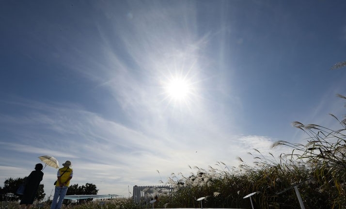 지난 6일 오후 서울 마포구 하늘공원에서 열린 2023 서울정원박람회를 찾은 시민들이 설치된 작품을 살펴보고 있는 모습.