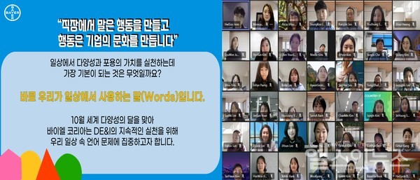 바이엘코리아제공