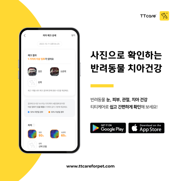 에이아이포펫제공