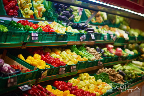 클립아트코리아