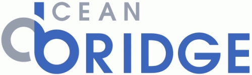 오션브릿지, 주가 급등…티이엠씨 피인수에 들썩