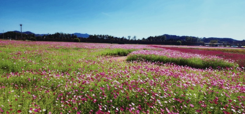 풍덕경관정원 (사진제공 = 순천시)