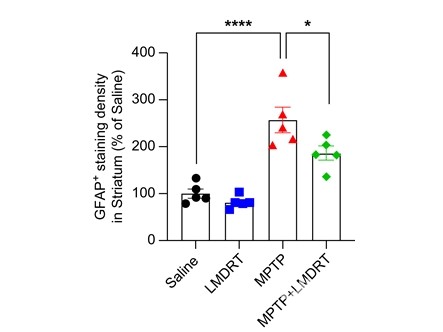 신경염증인자GFAP(glialfibrillaryacidicprotein)발현비교.방사선을쪼이지않은파킨슨질환군(MPTP)에비해중저선량방사선을쪼인파킨슨질환군(MPTP+LMDRT)이GFAP20%가량감소