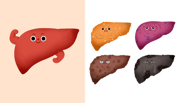 클립아트코리아