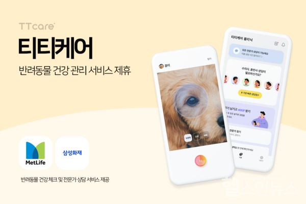 에이아이포펫제공