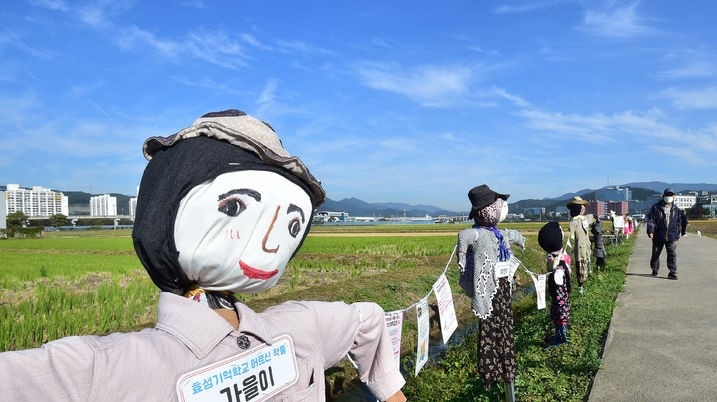 지난 18일 대구 북구 학정동 들녘에 '논두렁밭두렁 마을축제'을 위해 주민들이 만든 허수아비가 정겨운 가을풍경을 연출하고 있다.