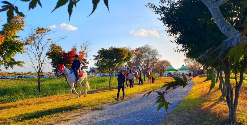 순천만습지에서 승마체험하는 관광객 / 사진=순천시 제공