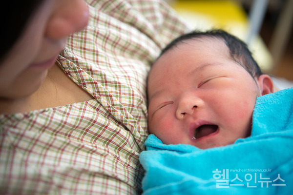 클립아트코리아