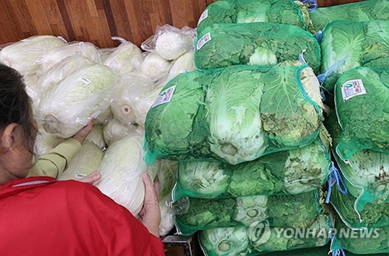 배추(사진=연합)