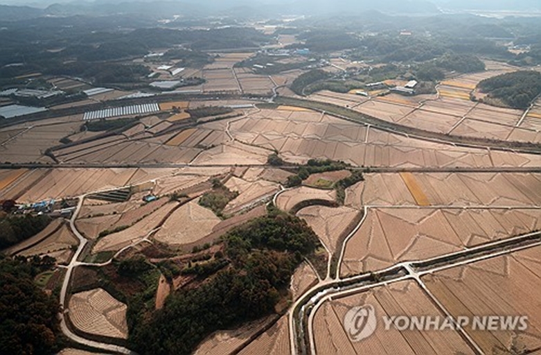 겨울로 가는 길목(사진=연합)