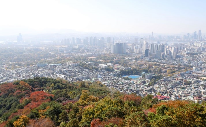 10월의 마지막 주말인 29일 서울 남산공원에서 단풍이 물들어가는 모습.