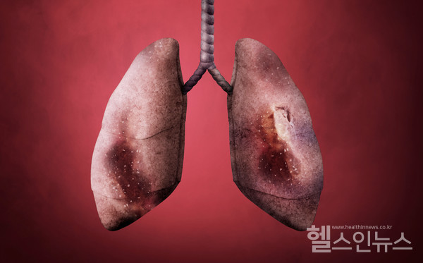 클립아트코리아