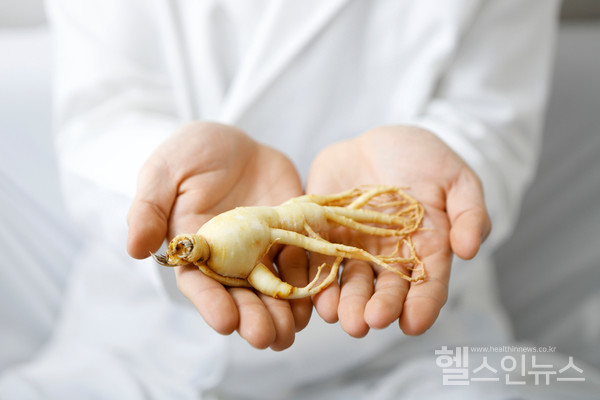 클립아트코리아