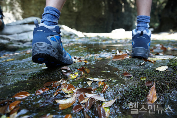 클립아트코리아