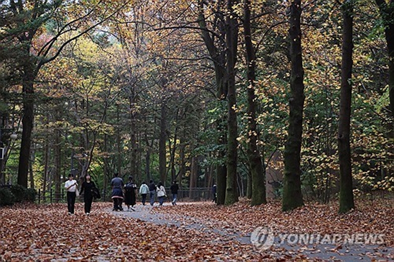 가을 산책(사진=연합)