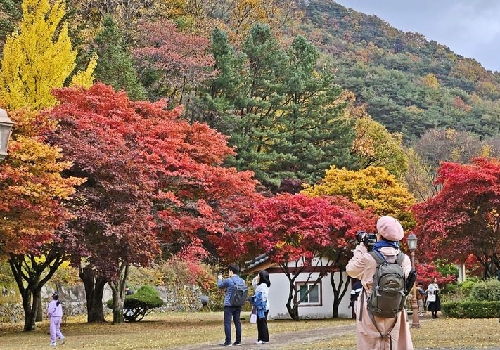 일교차가 큰 날씨가 이어지는 지난 10월 27일 충북 제천시 봉양읍 배론성지에서 시민들이 단풍 사진을 찍고 있다.