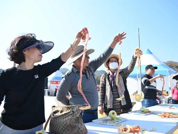사과 올림픽 3종