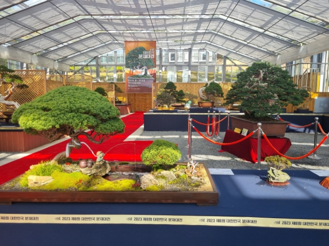 분재대전 / 사진=신안군 제공