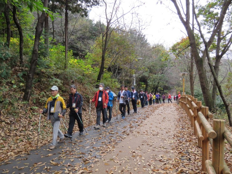 '2023 어르신 노르딕워킹 생활체육 페스티벌'에서 노르딕워킹 중인 참가자들. (사진제공= 대한산악연맹)