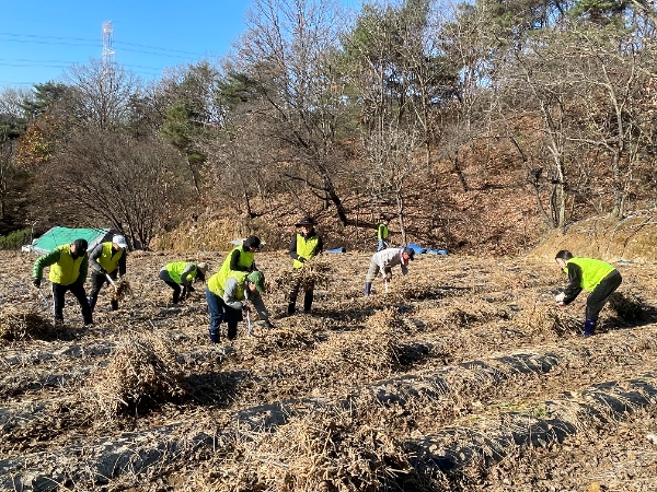 NH농협은행 임직원들이 농지 정비에 구슬땀을 흘리고 있다. / 사진=NH농협은행 제공
