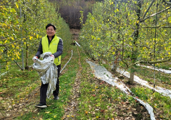 NH저축은행 임직원 봉사단은 7일, 경기 포천시 영중면 소재 농가에서 농촌일손돕기를 실시했다. 최광수 NH저축은행 대표이사가 폐비닐 수거 작업을 하고 있다. / 사진=NH저축은행 제공
