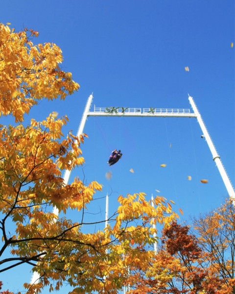 서울랜드, 11월 빼빼로데이 및 수능 맞이 특별 이벤트 전개