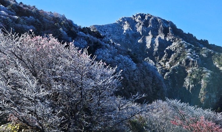 지난 7일 오전 제주 한라산 정상부에 상고대가 피어나 탐방객 눈길을 사로잡고 있다.