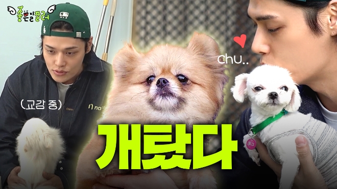 사진=NH투자증권 제공