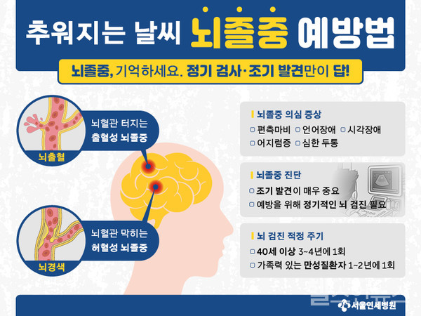 뇌건강검진,서울연세병원제공