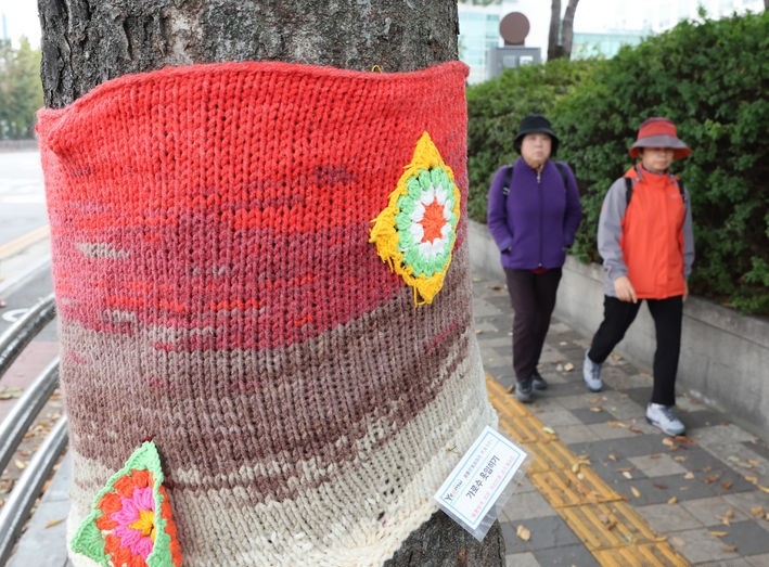 지난 9일 인천 연수구청 인근 가로수가 시민들이 뜨개질로 만들어준 겨울옷을 입고 있다.