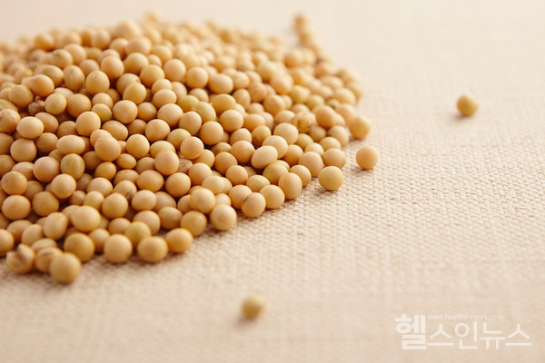 클립아트코리아