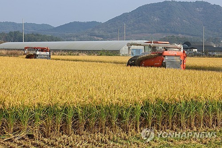 (사진=연합)