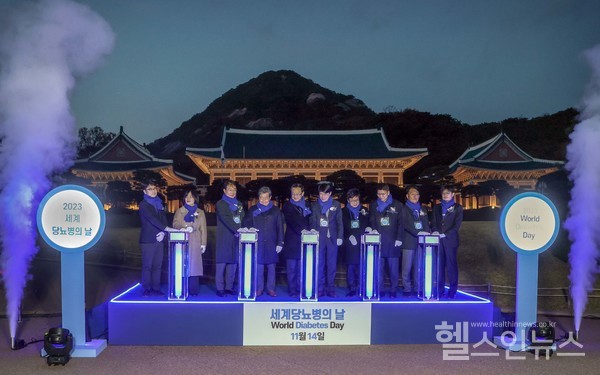 14일일몰시간에열린‘세계당뇨병의날기념청와대푸른빛점등식’에서당뇨병극복에노력한수상자들과보건복지부및대한당뇨병학회관계자들이기념촬영을하고있다.