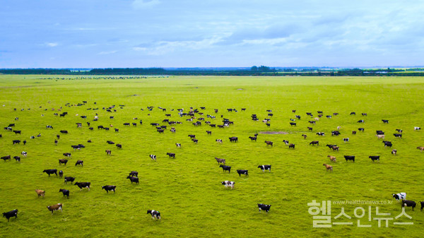 유한건강생활제공