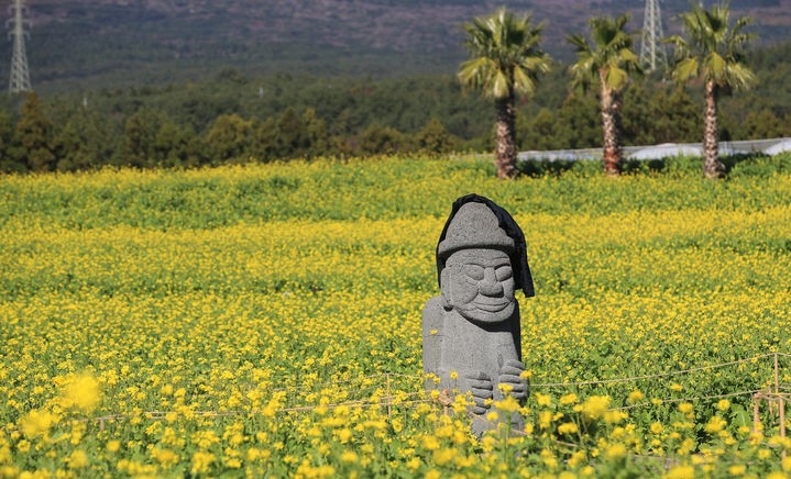 19일 오전 제주 서귀포시 남원읍 휴애리 농장에 서 있는 돌하르방에 관광객이 잠시 걸어놓은 외투가 시선을 끌고 있다.