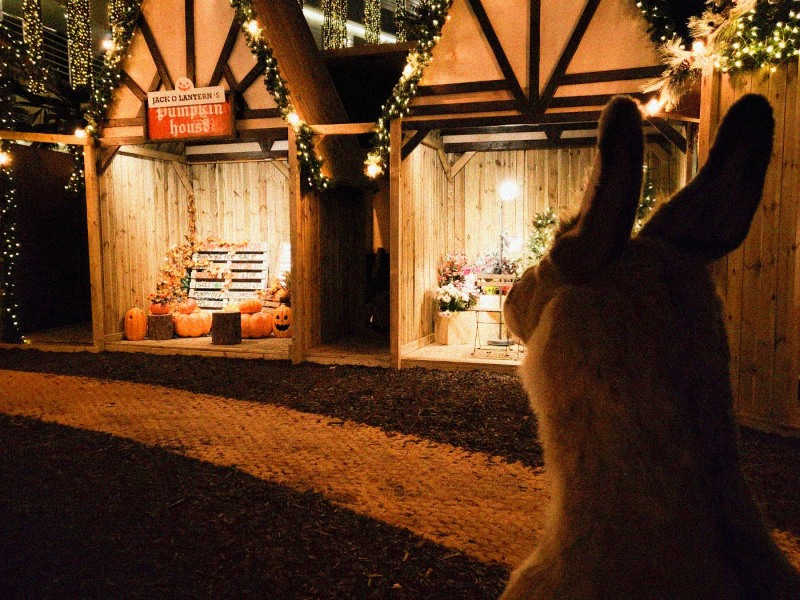 여수 라테라스, 윈터빌리지 개최...투숙객 할인 프로모션 진행