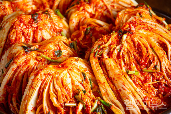 클립아트코리아